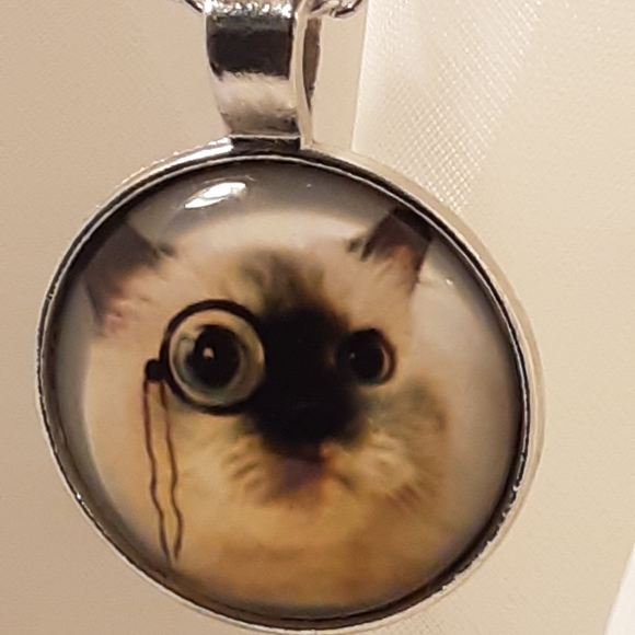 (G25) Cat with Specs Necklace 1" Silver Cabochon glass dome 16" chain - Picture 4 of 4